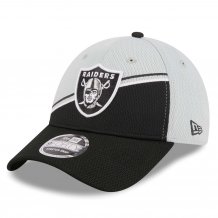 Las Vegas Raiders - Colorway Sideline 9Forty NFL Hat gray