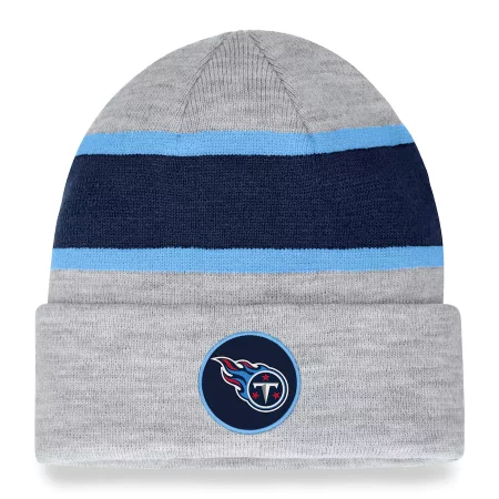 Tennessee Titans - Team Logo Gray NFL Knit Hat