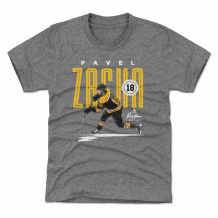 Boston Bruins Dziecięca - Pavel Zacha Card Gray NHL Koszulka