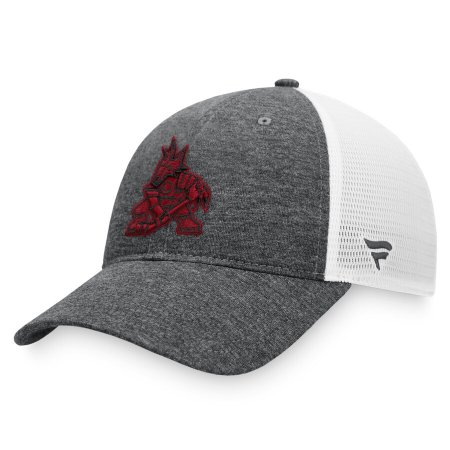 Arizona Coyotes - Mesh Trucker NHL Hat