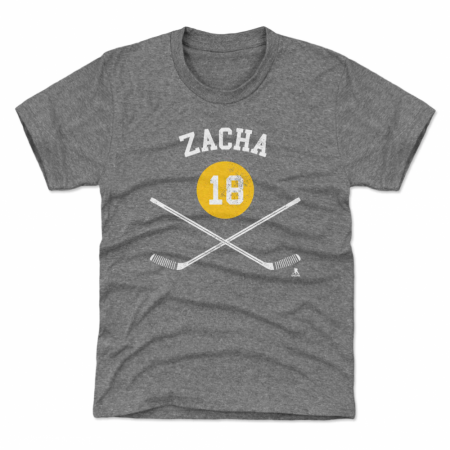 Boston Bruins Dziecięca - Pavel Zacha Sticks Gray NHL Koszulka