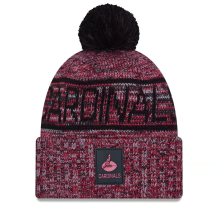 Arizona Cardinals - 2025 Sideline Sport Throwback NFL Zimna Ciapka