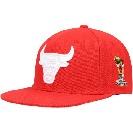 Chicago Bulls - 1991 World Champions NBA Cap
