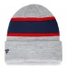 New England Patriots - Team Logo Gray NFL Knit Hat