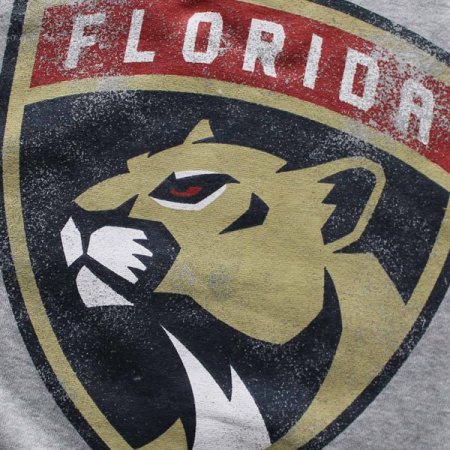 Florida Panthers - Headline Pullover NHL Hoodie