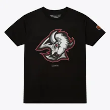 Buffalo Sabres - Core Vintage Logo NHL T-Shirt