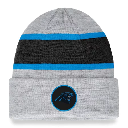 Carolina Panthers - Team Logo Gray NFL Zimní čepice