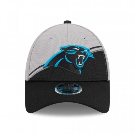Carolina Panthers  - Colorway Sideline 9Forty NFL Hat grau