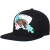 Vancouver Grizzlies - Paint By Numbers NBA Hat