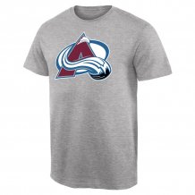 Colorado Avalanche - Primary Logo Gray NHL T-Shirt
