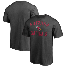 Arizona Cardinals - Victory Arch Gray NFL T-Shirt