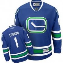 Vancouver Canucks - Roberto Luongo Third NHL Dres