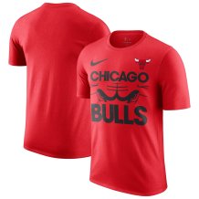 Chicago Bulls - This Is Our Year NBA T-shirt