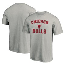 Chicago Bulls - Victory Arch Gray NBA T-Shirt