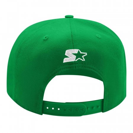 Minnesota North Stars - Vintage Logo Snapback NHL Cap