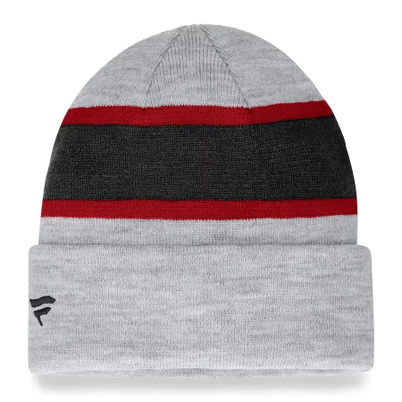Arizona Cardinals - Team Logo Gray NFL Knit Hat