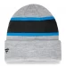 Carolina Panthers - Team Logo Gray NFL Zimní čepice