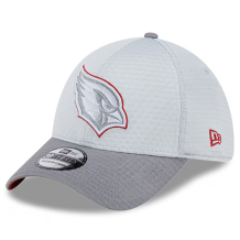 Arizona Cardinals - 2024 Training Camp Gray 39Thirty NFL Hat