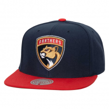 Florida Panthers - Core Team Snapback NHL Hat