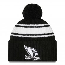 Arizona Cardinals - 2022 Sideline Black NFL Knit hat