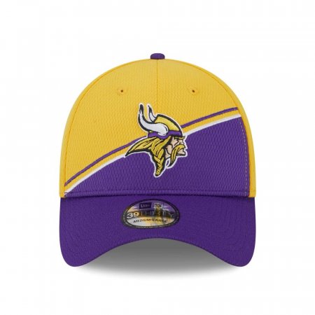 Minnesota Vikings - Secondary 2023 Sideline 39Thirty NFL Cap