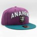 Anaheim Ducks - Faceoff Snapback NHL Hat