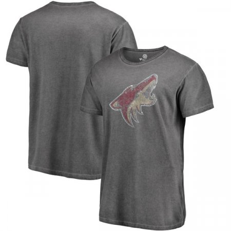 Arizona Coyotes - Shadow Washed Logo NHL T-Shirt
