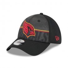 Arizona Cardinals - 2023 Training Camp 39Thirty NFL Hat