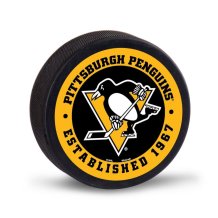 Pittsburgh Penguins - Established NHL Puk