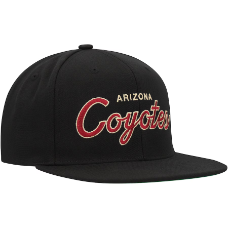 Arizona Coyotes - Core Team Script NHL cap