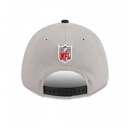 Tampa Bay Buccaneers - Colorway Sideline 9Forty NFL Hat gray