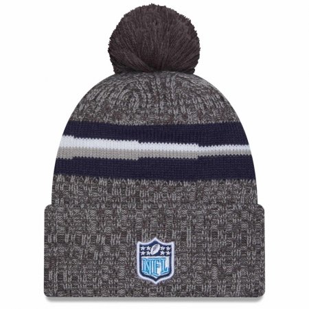 Tennessee Titans - 2023 Sideline Sport Gray NFL Zimní čepice