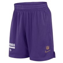 Minnesota Vikings - 2024 Sideline Mesh NFL Shorts