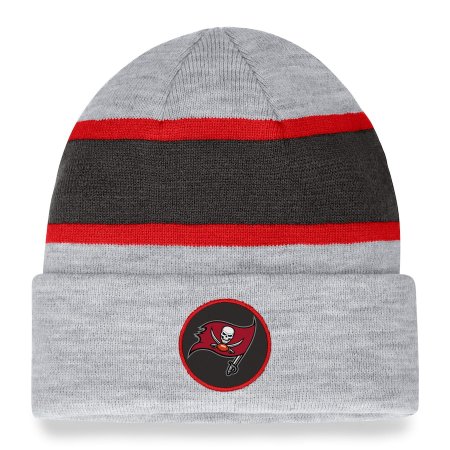 Tampa Bay Buccaneers - Team Logo Gray NFL Knit Hat