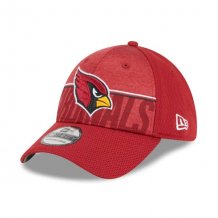 Arizona Cardinals - 2023 Training Camp 39Thirty Flex NFL Hat