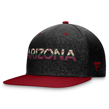 Arizona Coyotes - 2023 Authentic Pro Snapback NHL Hat