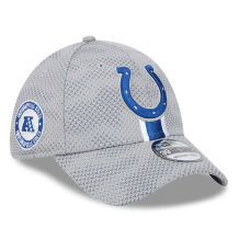 Indianapolis Colts - 2024 Sideline Gray 39Thirty NFL Czapka