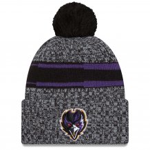 Baltimore Ravens - 2023 Sideline Sport NFL Knit hat