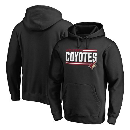 Arizona Coyotes - Iconic Collection NHL Mikina s kapucňou