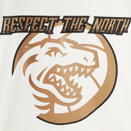 Toronto Raptors - Head Piece NBA T-shirt