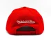 New Jersey Devils - Team Ground Pro NHL Czapka