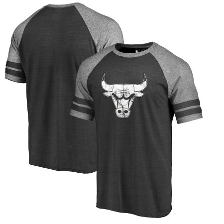 Chicago Bulls - Marble Logo NBA T-Shirt