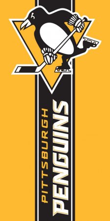 Pittsburgh Penguins - Belt Stripe NHL Ręcznik plażowy