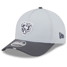 Chicago Bears - 2025 Training Camp 9Forty NFL Hat