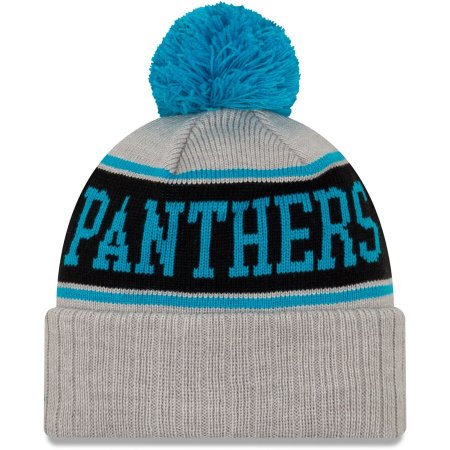 Carolina Panthers Youth - Preschool Stripe Cuffed NFL Knit Hat