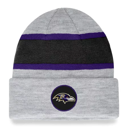 Baltimore Ravens - Team Logo Gray NFL Knit Hat