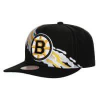 Boston Bruins - Paintbrush NHL Cap