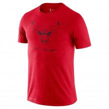 Chicago Bulls - Nike Bold Pride NBA T-shirt