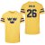 Schweden - Rasmus Dahlin 2026 Hockey T-shirtE