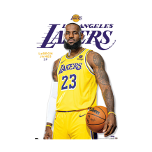 Los Angeles Lakers - LeBron James Feature NBA Poster
